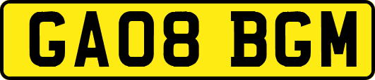 GA08BGM