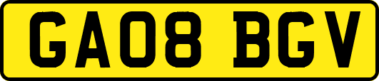 GA08BGV