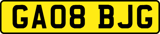GA08BJG