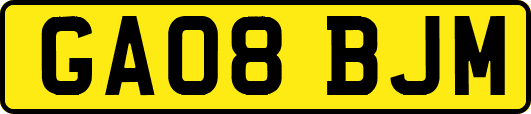 GA08BJM