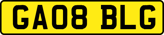 GA08BLG