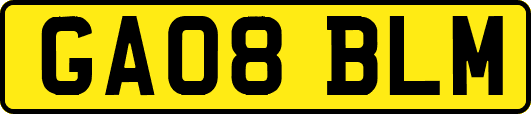 GA08BLM