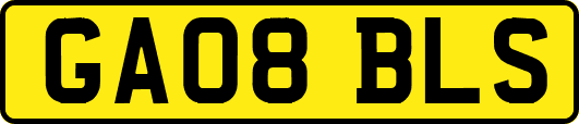 GA08BLS