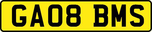 GA08BMS