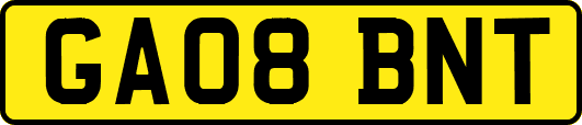 GA08BNT