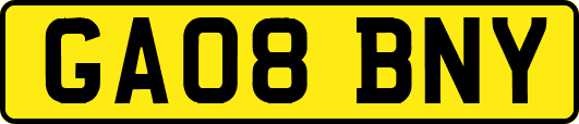 GA08BNY