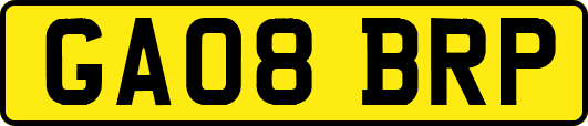 GA08BRP