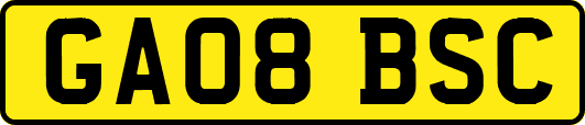 GA08BSC