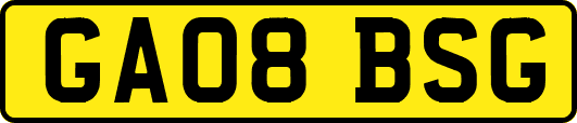 GA08BSG
