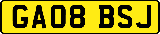 GA08BSJ