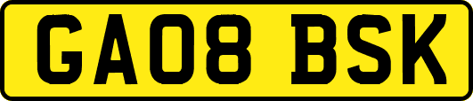 GA08BSK