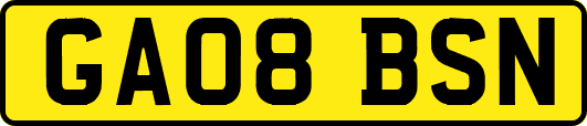 GA08BSN