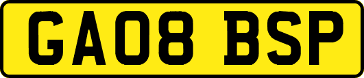 GA08BSP