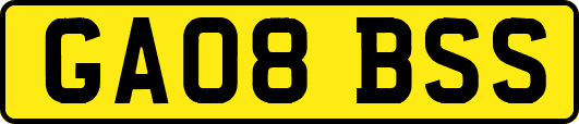 GA08BSS