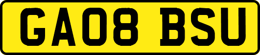 GA08BSU