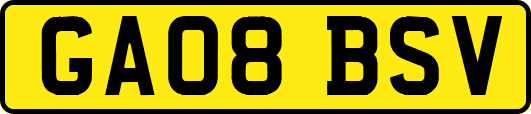 GA08BSV