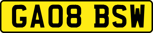 GA08BSW