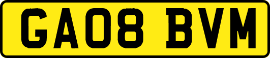 GA08BVM