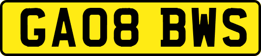 GA08BWS