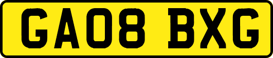 GA08BXG