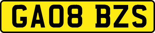 GA08BZS