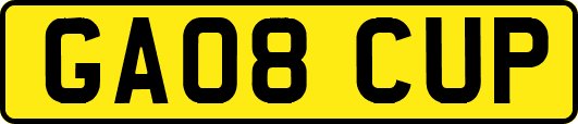 GA08CUP
