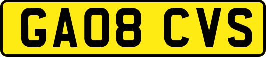 GA08CVS