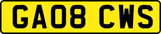 GA08CWS