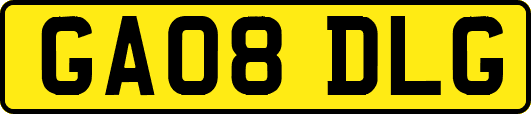 GA08DLG