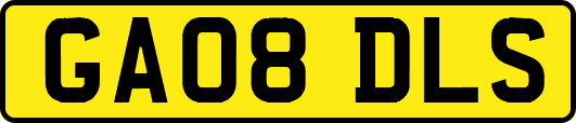 GA08DLS