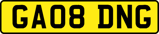 GA08DNG