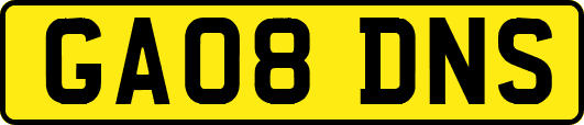 GA08DNS