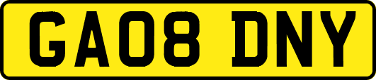 GA08DNY