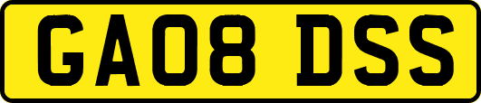 GA08DSS