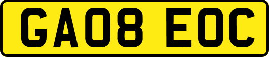 GA08EOC