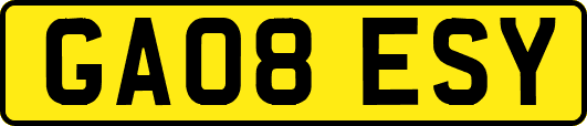 GA08ESY