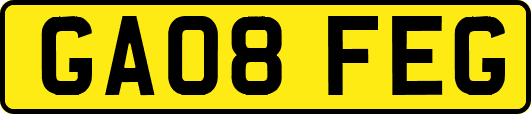 GA08FEG