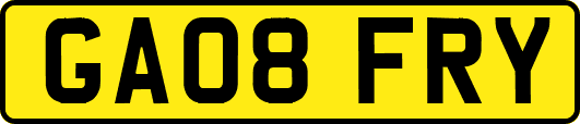 GA08FRY