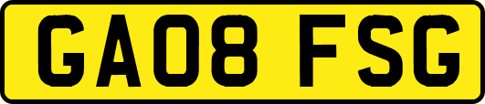 GA08FSG