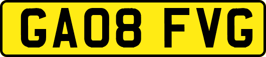 GA08FVG