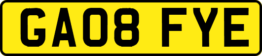 GA08FYE