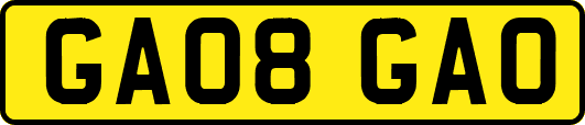 GA08GAO