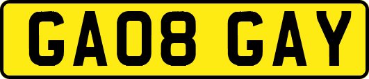 GA08GAY