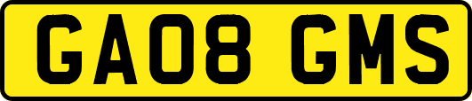 GA08GMS