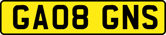 GA08GNS