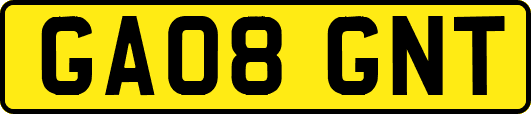 GA08GNT