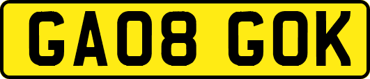 GA08GOK