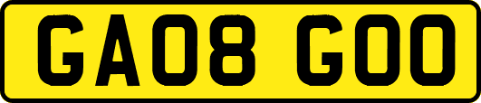 GA08GOO