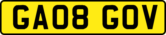 GA08GOV