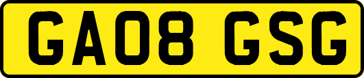 GA08GSG